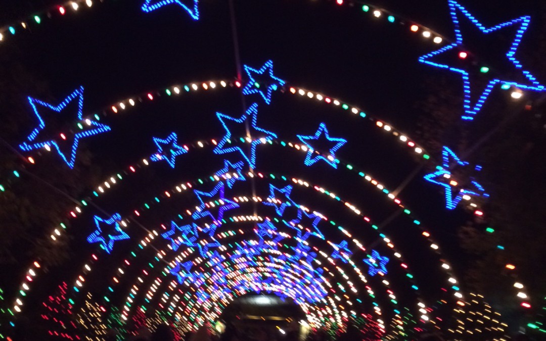 Trail of Lights ZiP Fast Pass Giveaway